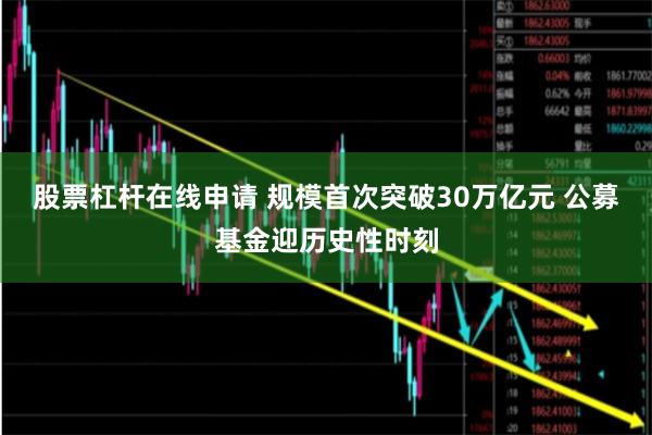 股票杠杆在线申请 规模首次突破30万亿元 公募基金迎历史性时刻