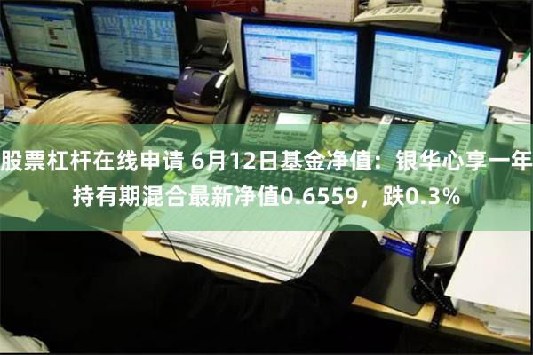 股票杠杆在线申请 6月12日基金净值：银华心享一年持有期混合最新净值0.6559，跌0.3%