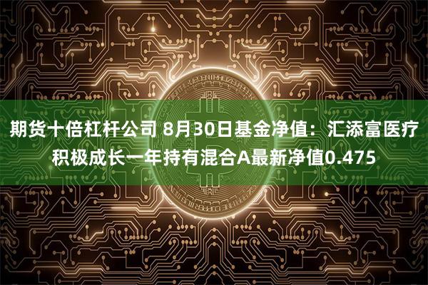 期货十倍杠杆公司 8月30日基金净值：汇添富医疗积极成长